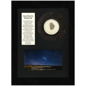 Vaca Muerta Meteorit - Bild 1 von 1