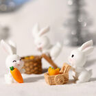 Cute Rabbit Carrots House Figurines Garden Home Decoration Micro Landscap;k;