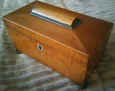 SUPERB VINTAGE 19C ENGLAND STRIPED CHERRY OR ROSEWOOD SARCOPHAGUS TEA CADDY BOX - Image 1 of 4