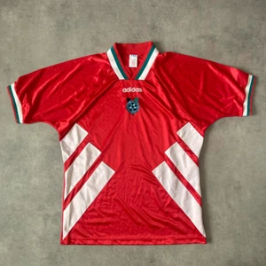 Camiseta Adidas Bulgaria Visitante 1994 Vintage Stoichkov Copa Mundial Fútbol L - Imagen 1 de 10