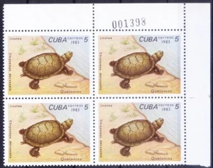 Placa MNH 1983 sin negro, tortuga deslizante Kyuban, reptiles - Imagen 1 de 1