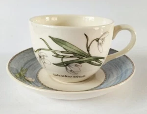 Wedgwood Sarah's Garden Cup and Saucer - Snowdrop - Picture 1 of 7