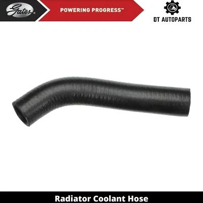 Manguera de refrigerante de radiador diésel para Nissan 720 1981-1982 2,2 L L4 puertas superiores Foto 1 de 4