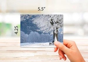 Carte Enchanted Winter Wonderland numero 12 - vuote all'interno con buste - A2... - Foto 1 di 4
