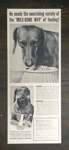 Vintage 1952 National Dog Biscuit Company Original Ad - 622 - Picture 1 of 1