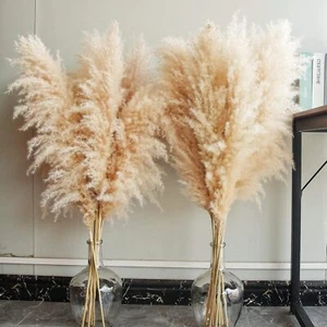 40" Inch 10 Stems Natural Pampas Grass Decor Tall, Pompas Grass, Tall Pampas Gra - Picture 1 of 6