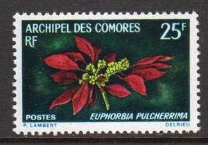 Flowers - Comoro Is. 1970 Poinsettia set fine fresh MNH - Picture 1 of 1