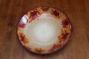 Pfaltzgraff Servizio Pasta e Pasta Sole della Sera Dipinto a Mano 14,25" Ottime Condizioni - Foto 1 di 7