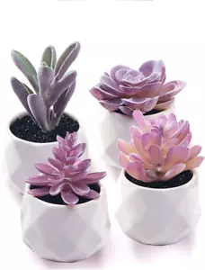 Fake Succulent Plant Set - Artificial Desk Plants for Women Desk - Realistic Fau - Picture 1 of 12