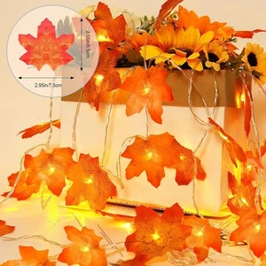 2 Pack Total 60 LEDs 29.5 FT Fall String Lights Thanksgiving Fall Decor,Fall Dec - Picture 1 of 7