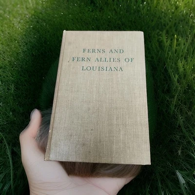 Ferns and fern allies of Louisiana - Image 1 of 4