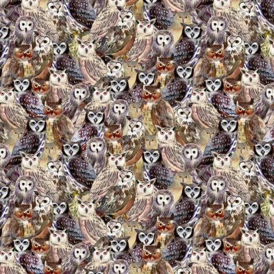 Wild Wonder Digital Packed Owls Y4074-55 Multi Color fabric BTHY Sue Zipkin - Image 1 of 3