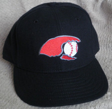VTG NEW ERA HICKORY CRAWDADS MINOR LEAGUE BASEBALL CAP (ALT) WOOL USA MADE 7 5/8