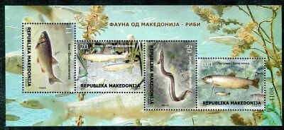 189 - MACEDONIA 2018 -- Fauna - Fish - MNH Souvenir Sheet - Image 1 of 2