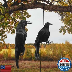 Lewtemi 2 Pcs Realistic Hanging Dead Crows 17 Inches, 12 Inches Decoy Lifesiz - Picture 1 of 5