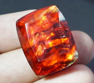 45.00 Ct Natural Ammolite Cushion Opal -Like Organic Doublet Rare Loose Gemstone - Picture 1 of 6