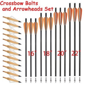 16" 18" 20" 22" Carbon Bolts Arrows 6 12 Arrow Tips Set Archery Hunting Target - Picture 1 of 19