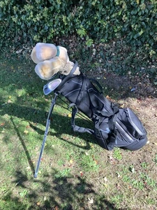 Ladies Golf Clubs Driver 3-5 Woods Irons Sw Pw Putter New Golf Stand Bag - Picture 1 of 20