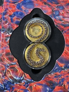 🐉2020 2 x 1 oz Germania Bestias Fafnir Plata Dorada con Cristales - De Colección de 100 - Imagen 1 de 8