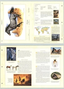 Mustang #112 Mammals - The Illustrated Animal Library Fold-out Page & Print - Picture 1 of 2