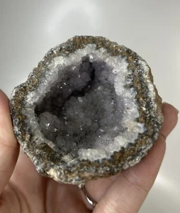 3" Las Choyas Amethyst Geode Half - Beautiful Display - Picture 1 of 16