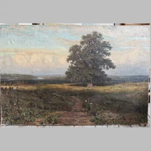 Old Big USSR OIL Hand PAINTING /Oak tree in a field / Landscape Realism Canvas - Picture 1 of 5