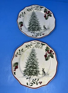 Better Homes and Gardens Heritage Winter Wald Hase Kaninchen 2 Salatteller 8,75" - Bild 1 von 5