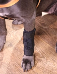 Fixierende Hunde Bandage für den Vorderlauf mit optimaler Anpassung an den Lauf - Bild 1 von 6