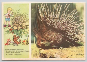 Postal puercoespín dibujos animados gato y niño primeros auxilios Unión Soviética Rusia URSS - Imagen 1 de 3