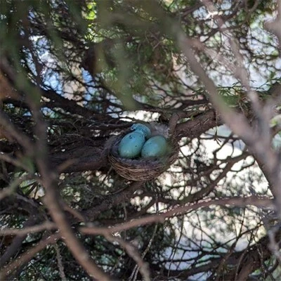 Nano Nests with 2 Plastic Eggs Geocache Container - Imagen 1 de 2