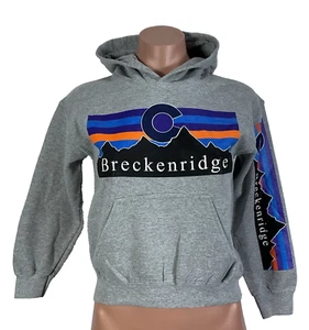 Vintage y2k Gray Graphic Breckenridge Colorado Pullover Hoodie Youth Size Small - Picture 1 of 7