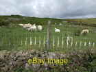 Photo 6X4 Hill Pasture Land Blaenavon By The Road From Blaenavon To Llano C2007