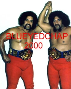 SAMOANS AFA & SIKA WRESTLER 8 X 10 WRESTLING PHOTO WWF NWA - Picture 1 of 1