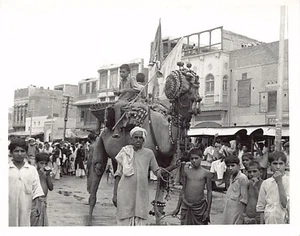 Pakistan - A decorated camel - PHOTOGRAPH Size 12.5 cm x 10 cm - Publ. unknown - Picture 1 of 2