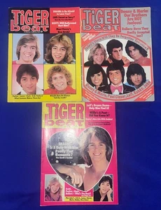 LOT-(3) VTG 1976-1978 Tiger Beat MAGAZINE W/PINUPS Scott Baio/Leif/Cassidy/Ames - Picture 1 of 4