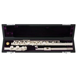 New TREVOR JAMES PRIVILEGE FLUTE - w/SILVER Lip & Riser, E mechanism -Ships FREE - Picture 1 of 22