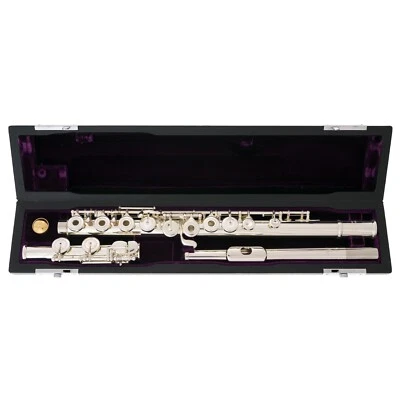 Nueva flauta Trevor James Privilege - con labio y elevador PLATEADOS, mecanismo E - Se envía GRATIS Foto 1 de 4