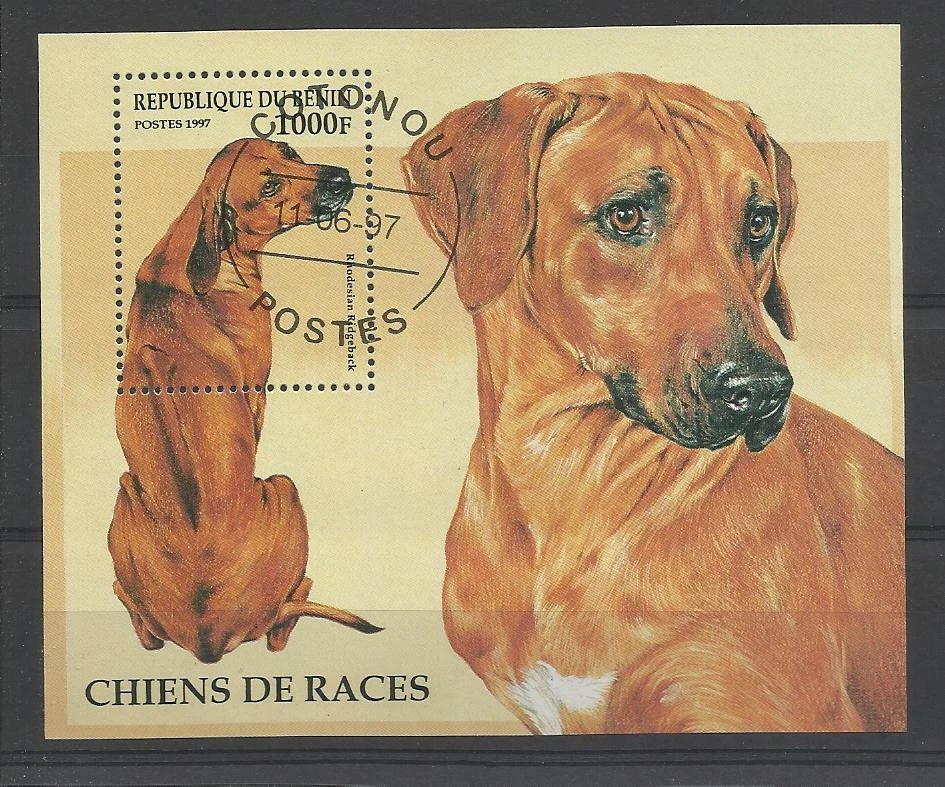  chien dog hund perro Bloc Feuillet oblitéré 12 Bénin - Photo 1/1