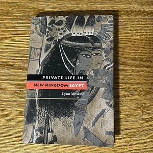 Private Life in New Kingdom Egypt Meskell, Lynn Hardcover Like New - Bild 1 von 4