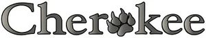 1 Forest River RV Trailer Camper LOGO Decal Graphic -2211-3 - Picture 1 of 1