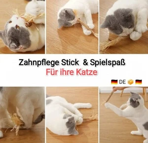 Zahnpflege Stick Katzenminze Stick Silvervine Kausticks No Zahnstein für Katzen  - Bild 1 von 7