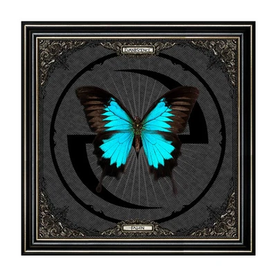 Evanescence - Fallen 20th Anniversary Limited Edition Deluxe Vinyl Box Set NEW - Image 1 of 4