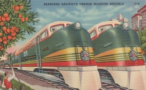 Speciali fiori d'arancio della ferrovia Seaboard - Foto 1 di 3