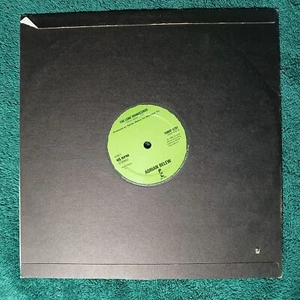 Adrian Belew Big Electric Cat Lone Rhinoceros 10" VINYL Record 45RPM EXCELL 1982 - Picture 1 of 4