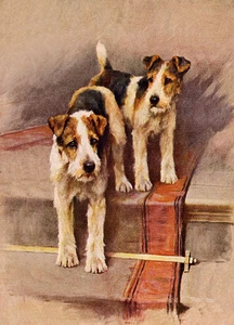 DRAHT FOXTERRIER BEZAUBERNDER HUND GRUSS NOTIZKARTE ZWEI HUNDE AUF DER TREPPE - Bild 1 von 1