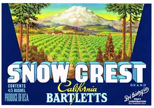 ETIQUETA ORIGINAL DE CAJA DE PERAS DE SAN FRANCISCO DE LA DÉCADA DE 1950 VINTAGE PAISAJE DE CRESTA DE NIEVE - Imagen 1 de 1