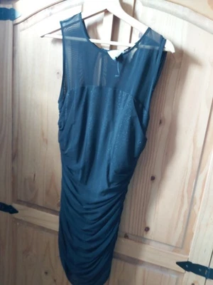 Body Con Sleeveless Dress with Slanted Hem & Rouched Side for Women Suze 10-12 - Image 1 of 4