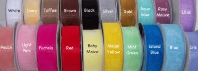 Diadema de nailon corona princesa bebé niña personalizada moño ELIGE disfraz Foto 1 de 3