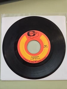 The Rays silhouettes 45rpm cameo /parkway c117 - Imagen 1 de 1