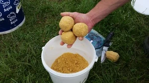 Angel Karpfen Futter Vanille 10, 20 kg, 8 kg Eimer VITA- Karpfen - Bild 1 von 9